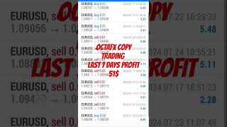 octafx copy trading last 7days profit 51 octafx octafxtrading octafxcopytrading forex [upl. by Lipscomb]