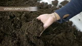 How to do vermicomposting on your farm [upl. by Mateo]