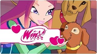 Winx Club  Temporada 4 Episodio 3  La última hada de la Tierra clip2 [upl. by Rehsu]