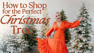 Christmas Tree Shop  My Top 5 Favorite Trees  How to Shop for the Perfect Christmas Tree [upl. by Ayikal]