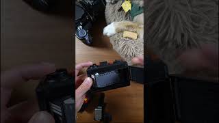 How To Load The Lomography Oktomat [upl. by Aettam]