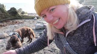 Looe to Talland Bay Cornwall A stunning day to walk the South West Coast Path [upl. by Aynom562]