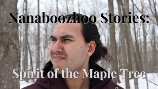 Nanaboozhoo Stories  Nanaboozhoo and the spirit of the Maple Tree [upl. by Gatian]