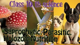 Saprophytic Parasitic Holozoic Nutrition life processes class 10 th science biologyvideo [upl. by Jangro840]