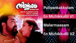 Nirnayam Malayalam Songs Jukebox  R Anandh  Mohanlal Heera Rajagopal [upl. by Hcurab]