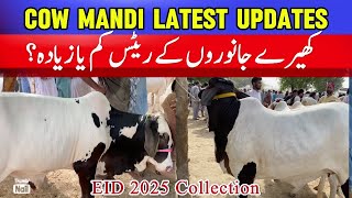 Halani Maveshi Mandi latest Update VetAsadullah [upl. by Ophelia303]