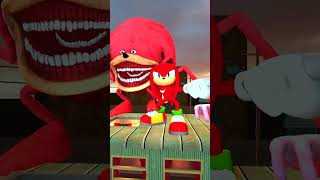 SIZE COMPARISON NEW SONIC CHAOS TAPES FAMILY AMY TAILS KNUCKLES SHADOW TRAIN RIDE in Gmod  shorts [upl. by Mehitable]