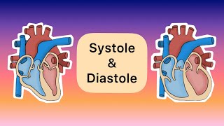 Systole und Diastole [upl. by Hirst313]