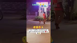 World best loyal animals ❤️🤩funny rahulpets funnypets doglover shortsfeed [upl. by Dominik]