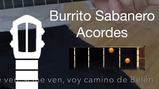 Burrito Sabanero  Canta con el Cuatro [upl. by Nrobyalc]