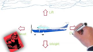 Private Pilot Ground Lesson 1 Aerodynamic Forces Acting On An Aircraft [upl. by Nomit]