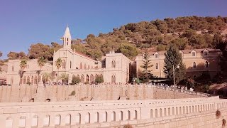 La Festa della Madonna dell’Hortus Conclusus [upl. by Frodine]