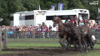 4 span Paarden Marathon CAIA Beekbergen 2012 [upl. by Gnen425]