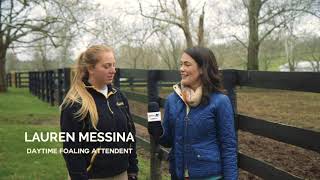 Seen  Behind the Scenes at Claiborne Farm [upl. by Kcirdet209]