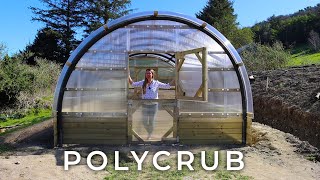 Meet the POLYCRUB  my greenhousepolytunnel hybrid [upl. by Meraree]