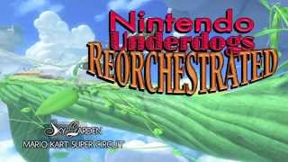 Sky Garden — Nintendo Underdogs Reorchestrated [upl. by Yrrum]