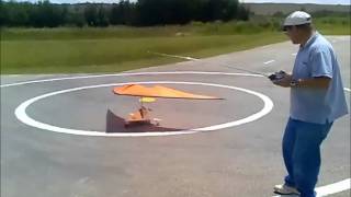 RC Microlight 22 meter wing span crash landing [upl. by Revlis]