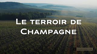 Le terroir de Champagne [upl. by Inatirb]