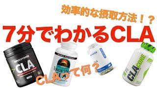 【筋トレ】CLAって何？の最も効果的な摂取方法とは？解説動画 [upl. by Alleunam764]