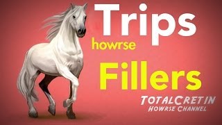 Make The Perfect Fillers  Howrse Trips [upl. by Nnairrehs253]