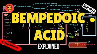 BEMPEDOIC ACID Mechanism of action Pharmacology of Lipid lowering drugs [upl. by Seen655]