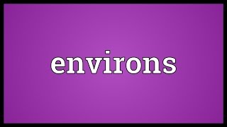 Environs Meaning [upl. by Howard]