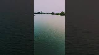 JIVAN DEKAVADIYA NEW rilsh Pani bol fekdiya sapot viralvideo shorts river song viralshort jd [upl. by Taddeo]