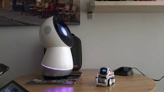 Jibo and Cozmo Speak To Each Other [upl. by Amr]