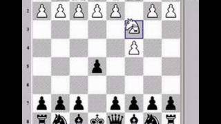 Chess Lesson Basic Opening Principles [upl. by Drhcir]