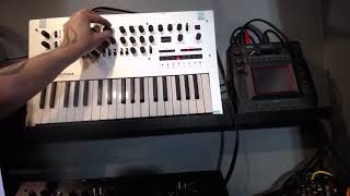 Minilogue vs Minilogue XD Features and Comparison [upl. by Malley]