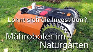 Mähroboter im Naturgarten  Lohnt sich die Investition [upl. by Emmer]