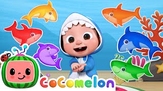 Baby Shark Learns Colors  CoComelon Nursery Rhymes amp Kids Songs [upl. by Des]