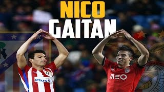 Nicolás Gaitán  SL Benfica amp Atlético Madrid 2010  2017 [upl. by Lanos]