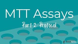 MTT Assays Part 2  Protocol [upl. by Sofia]