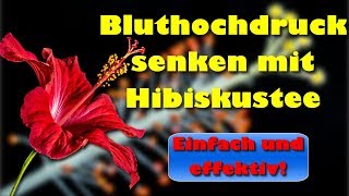 Bluthochdruck senken mit Hibiskustee [upl. by Amir]