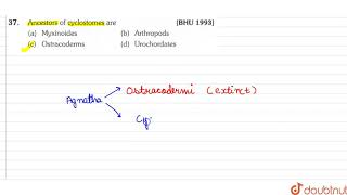 Anccestors of cyclostomes are [upl. by Arlen]