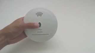 Mudder Combo Smoke and Carbon Monoxide CO Detector Review [upl. by Halilak]