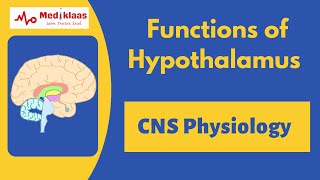 Functions of Hypothalamus  Nerurology  Physiology  Mediklaas [upl. by Nnahs9]