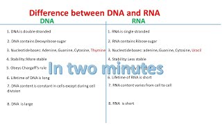 DNA vs RNA  Difference between DNA and RNA [upl. by Lytsirhc974]