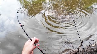 AWESOME ByCatch While Fishing In A Drying Lagoon [upl. by Attelrak520]