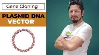 Plasmid DNA vector in gene cloning  plasmid vector  pbr322 vector  puc 19 vector [upl. by Yahsram]