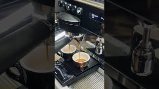 Brewing with allegra lyra latteart barista coffee [upl. by Lsil925]