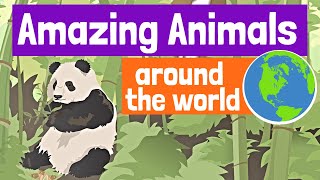 Amazing Animals Around the World for Kids [upl. by Francoise]