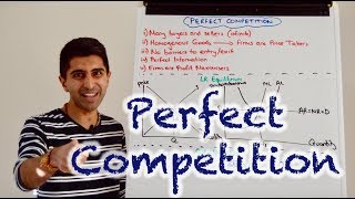 Y2 13 Perfect Competition [upl. by Kowal]