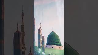 Aaye Nabi Pyare Nabi [upl. by Thurlow]