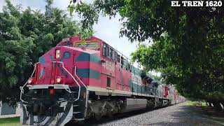 4K Railfanning  Ferromex Intermodal Norte  Sep 8 2024  Guadalajara Jal [upl. by Mufi]