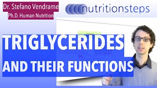 Triglycerides and Their Functions [upl. by Quentin218]