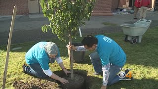 Volunteers Team Up To Clean Up Denver Elementary School [upl. by Acinoed]