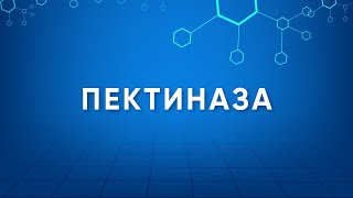 Пектиназа Pectinase Назначение Производство Применение Энзимология в деталях [upl. by Slotnick]