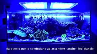 DaniReef presenta Acquario marino  alba e tramonto  Sicce GNC AM466 Led [upl. by Eninnaej94]